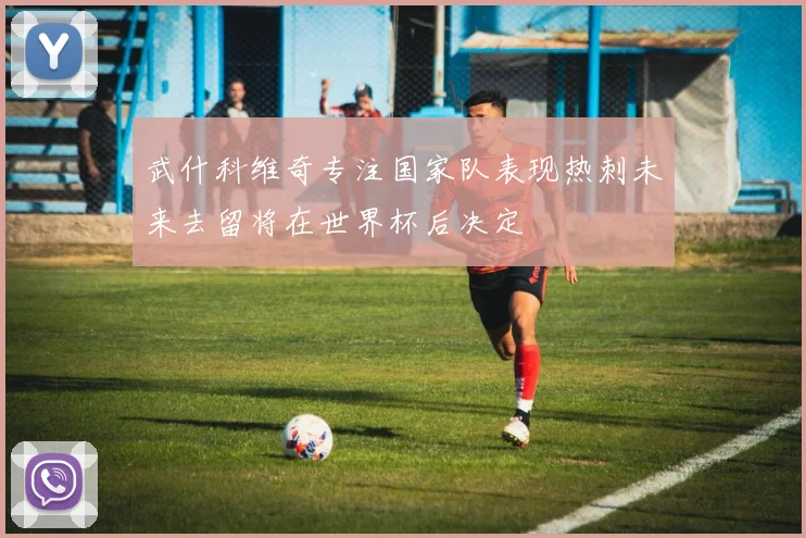 武什科维奇专注国家队表现热刺未来去留将在世界杯后决定